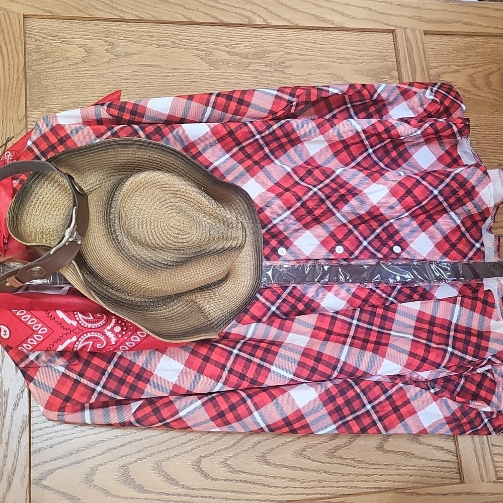 Cowgirl For Halloween!! New W/O Tags! Plaid Shirt For All Occasions!